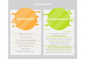 business disadvantages advantages cooperatives type